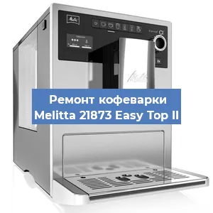 Ремонт капучинатора на кофемашине Melitta 21873 Easy Top II в Челябинске